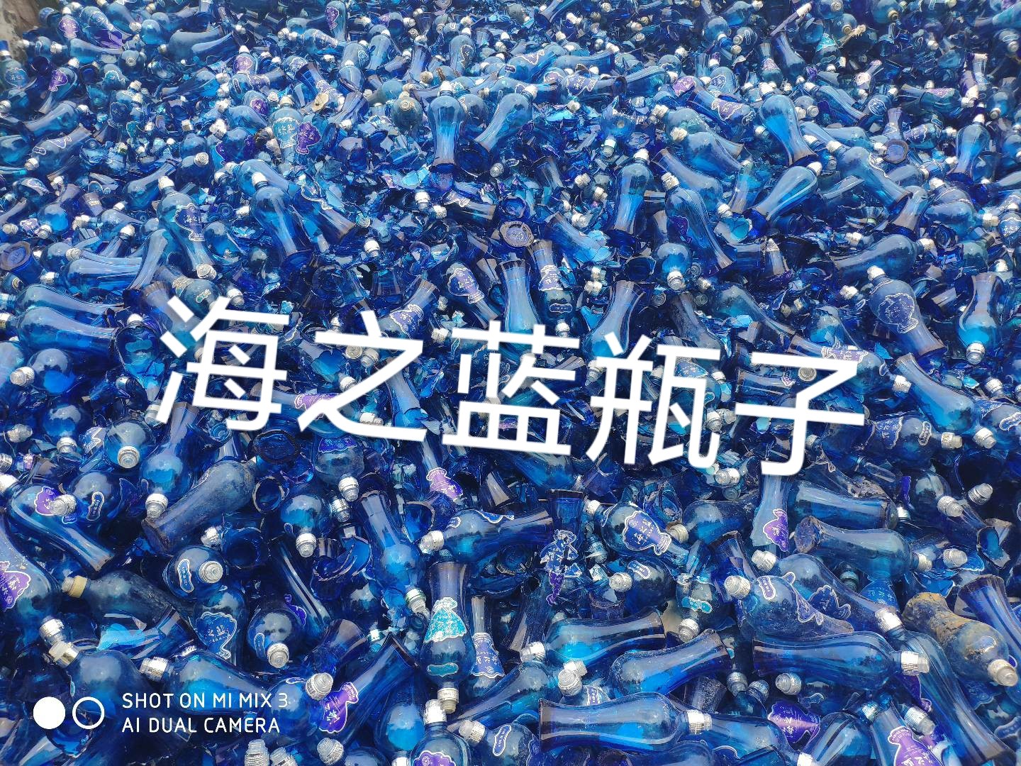 淮安海之蓝瓶回收